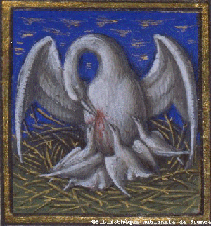 Le Symbolisme Chrétien - 19 eme siècle - Angleterre ( Images) Pelican