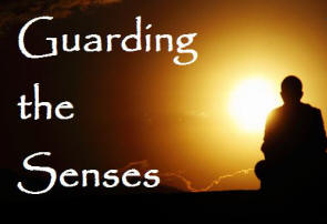 Guarding.the_.senses.jpg