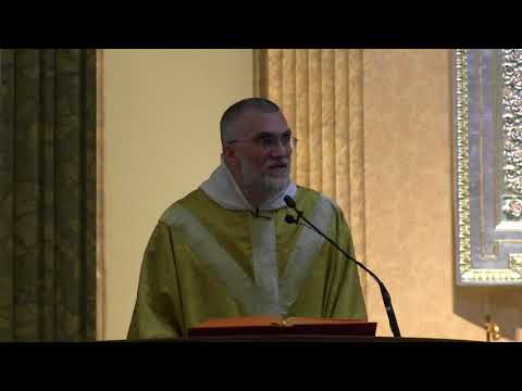 Divine Mercy – Fr. Elias – Homily – La Crosse, WI – 2019