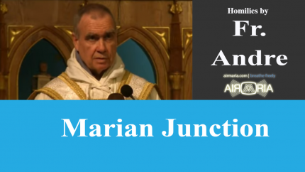 Marian Junction – Jun 02 – Homily – Fr Andre